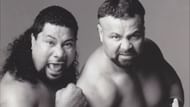 Meng and Barbarian